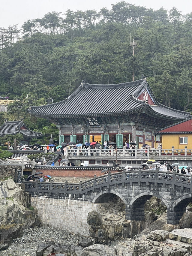 釜山｜韓國三大觀音勝地之一「海東龍宮寺」 傳說觀音入夢實現心願