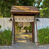 คิขุอาโนเนะ🇯🇵แบบญี่ปุ่น คาเมะ คาเฟ่
