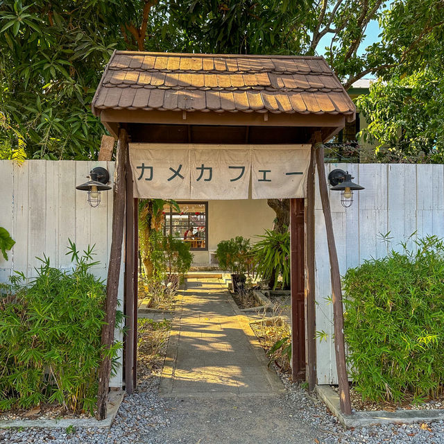คิขุอาโนเนะ🇯🇵แบบญี่ปุ่น คาเมะ คาเฟ่