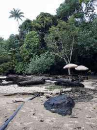 Rainforest Retreat like no other 