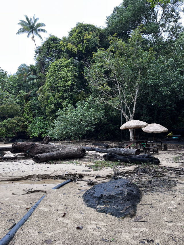 Rainforest Retreat like no other 