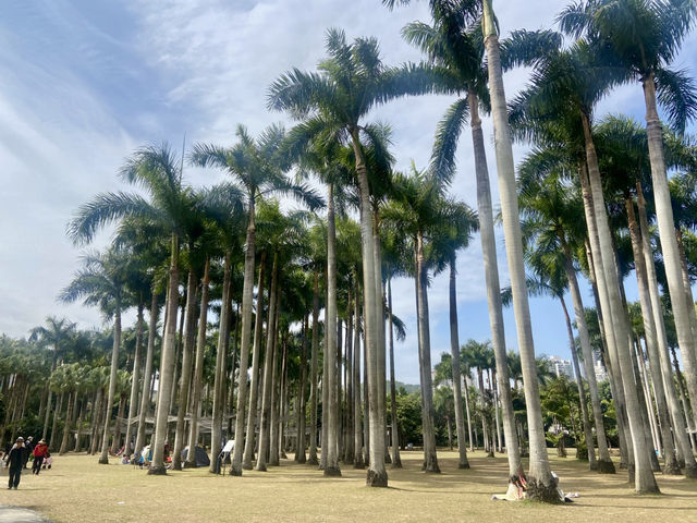週末好去處🔥如非洲草原般的深圳「東湖公園」🌴🏞️
