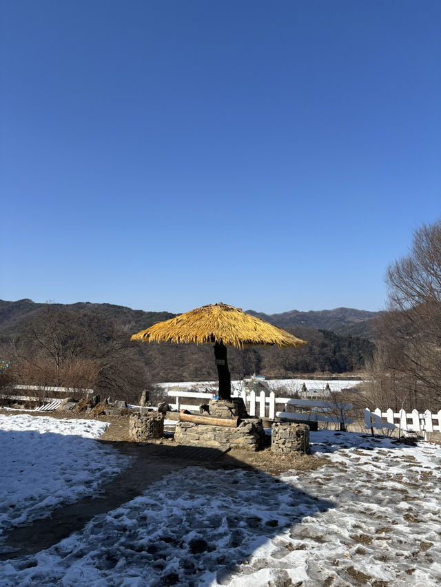 춘천의 알프스 같은 멋진 풍경의 목장😍