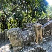 陽春東湖公園散步