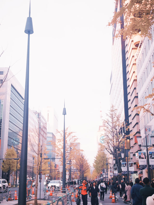 日本🇯🇵 大阪｜難波心齋橋街道🌟 標誌性的戎橋和霓虹燈