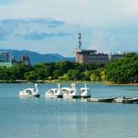 大濠公園：划船遇見西湖的倒影