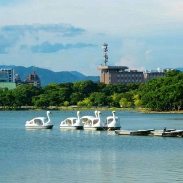 大濠公園：划船遇見西湖的倒影