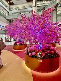 「桃花開運庭園」@新城市廣場