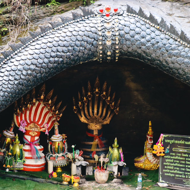 พญานาคราชองค์ดำ วัดป่าภูยอดรวย 