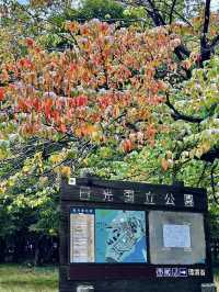 Nikko National Park: An Outdoor Paradise of Mountains, Waterfalls, and History