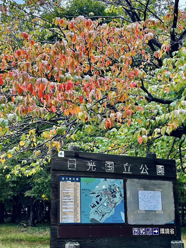 Nikko National Park: An Outdoor Paradise of Mountains, Waterfalls, and History