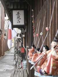 【和歌山】湯浅まちなみひなめぐり🎎