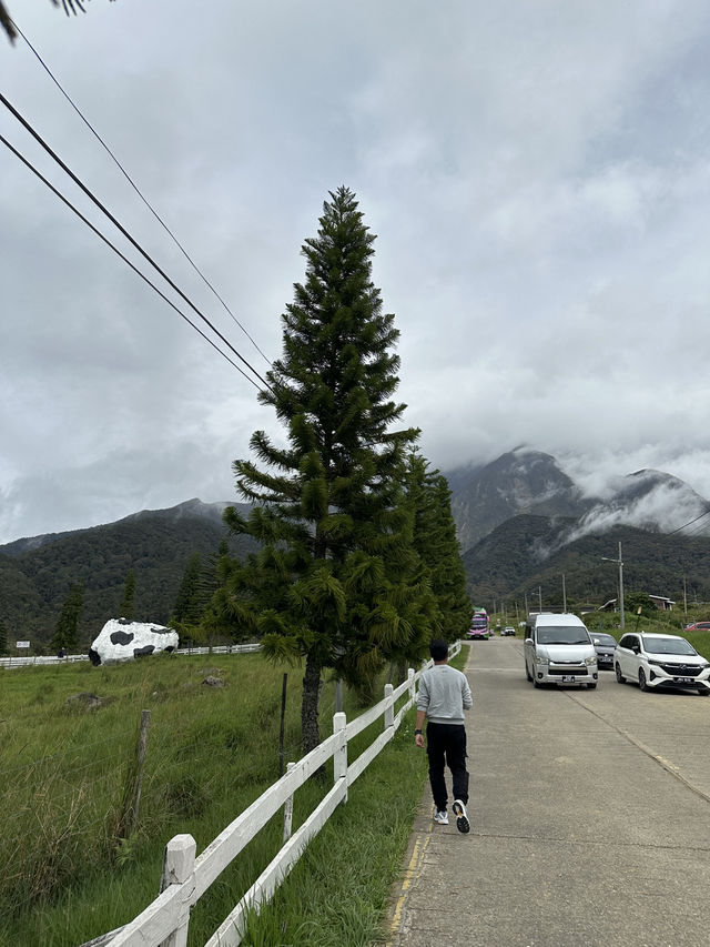 Quick Visit to Kundasang and Attractions along the Route