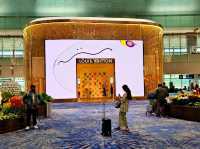 A stroll around the best airport in the world, Changi International Airport