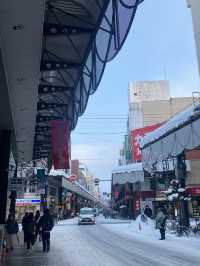 行くべき世界の旅行先、岩手県の盛岡市