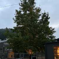 【静岡県】北欧の世界を楽しめる？！『丁寧な暮らし』を届ける都田建設ドロフィーズ