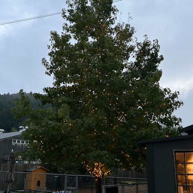 【静岡県】北欧の世界を楽しめる？！『丁寧な暮らし』を届ける都田建設ドロフィーズ