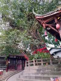 Zhenjiang Temple: An Ancient Waterfront Sanctuary