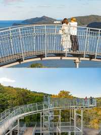 Amanohashidate ชมวิวสันทราย 1 ใน 3 สวยสุดในญี่ปุ่น