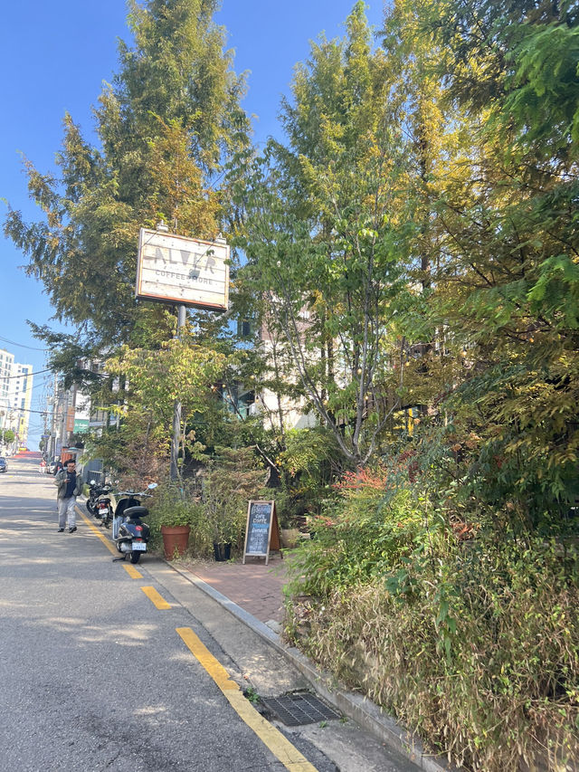 Trip 5 Day in KOREA🇰🇷 [ฉบับไปติ่ง😂]