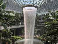 Most Beautiful Indoor Waterfall Surrounded by Lush Greenery