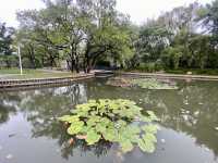 深圳週末好去處✨洪湖公園💕