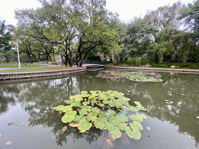 深圳週末好去處✨洪湖公園💕