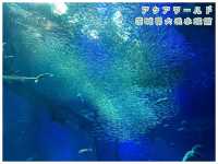 【茨城/大洗】サメの飼育種類数日本一‼︎＊アクアワールド茨城県大洗水族館＊