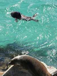 A Coastal Escape to Narooma