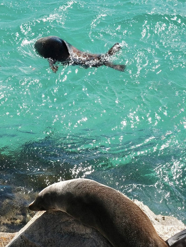 A Coastal Escape to Narooma