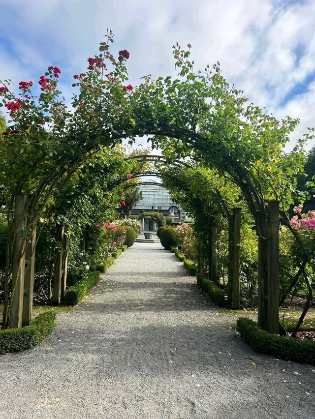 花園城市內的基督城植物園