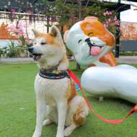 ที่เช็คอินเมืองกาญฯ 🐶 Aura Cafe and The Gang 