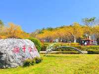 廍子公園