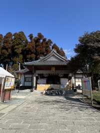 【熊本旅行】金運祈願🙏白蛇様参拝ができる神社⛩