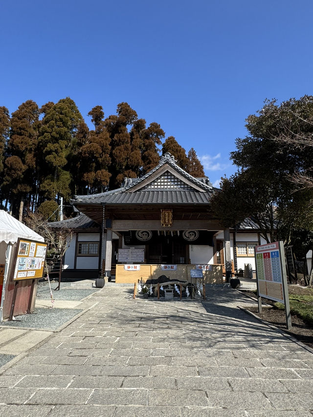 【熊本旅行】金運祈願🙏白蛇様参拝ができる神社⛩