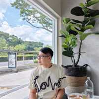 Hello Arigato Coffee Singapore