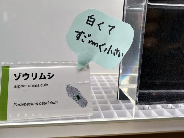 大きい科学館🤍【名古屋市科学館】