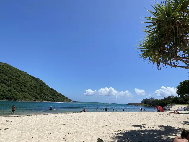 Gold Coast One-Day Tour Guide: Tallebudgera Creek Beach, Hidden Bars, and Local Cuisine