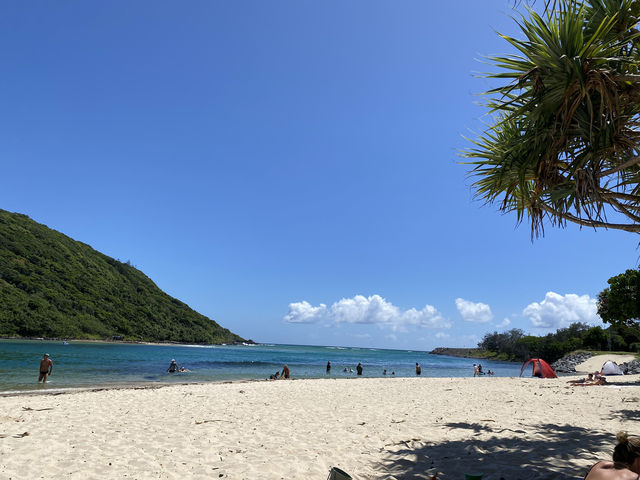 黃金海岸一日遊攻略：Tallebudgera Creek Beach、隱藏酒吧與在地美食