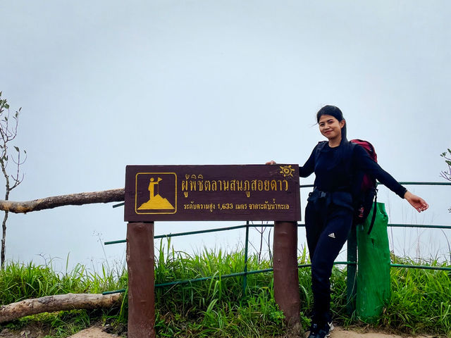 ภูสอยดาวช่วงหน้าฝน หมอกหนา