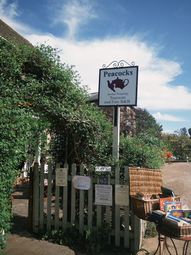 Springtime Charm in Ely: Blossoms, History & Riverside Elegance
