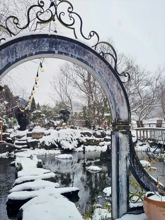 눈의 나라가 아니라 경남 월성계곡입니다❄️