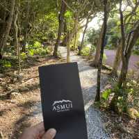 🌿ASMUI Spiritual Hikesで神秘の森を散策🌿