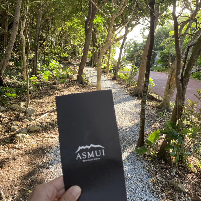 🌿ASMUI Spiritual Hikesで神秘の森を散策🌿