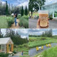 #มัดรวมคาเฟ่ 10 Check In ‘เขาใหญ่-สระบุรี’