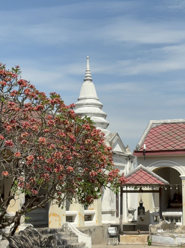 แวะเที่ยว one day trip ที่ จ.อยุธยา