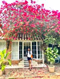 Delicious Food in Weligama