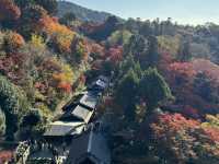 Kiyomizu-dera จุดชมใบไม้เปลี่ยนสีโด่งดังในญี่ปุ่น
