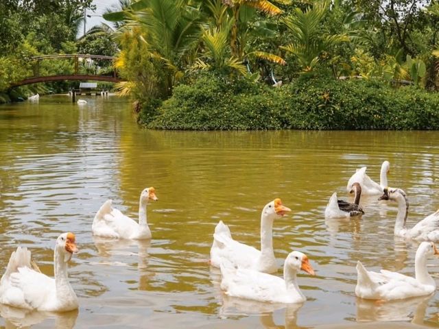 🌿หนีเมืองมาพักใจ☕️คาเฟ่อาหาร 🏝ท่ามกลางธรรมชาติ