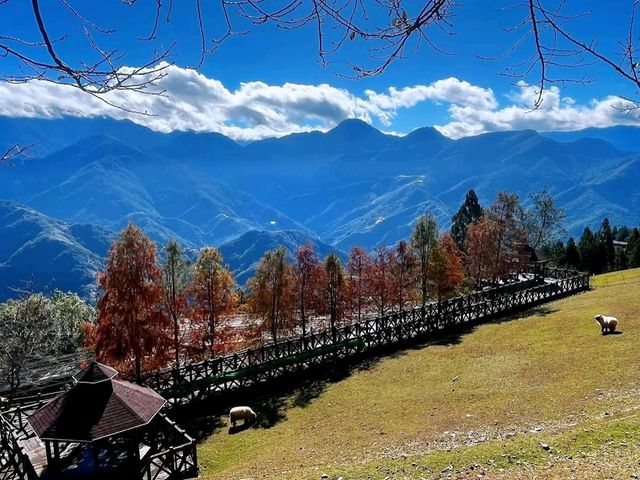 清境農場青青草原